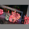img_2592.jpg