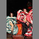 img_4224.jpg 691x1037 271 KB img_4224.jpg